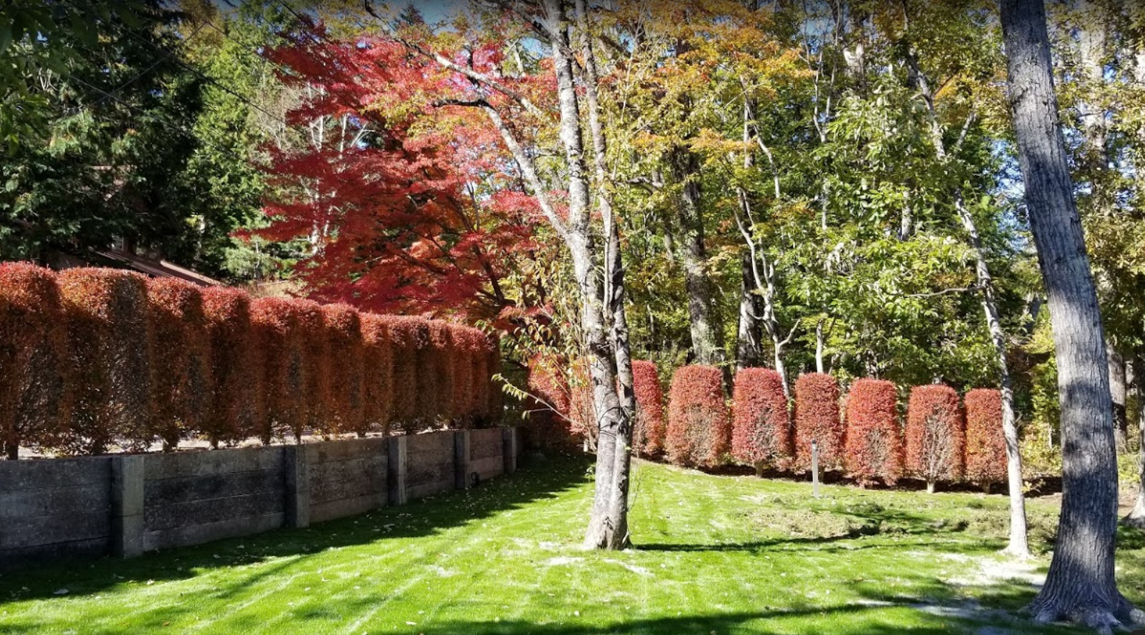 秋の庭
